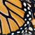 Susan Klopovich's profile image