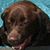 Brian Clarkin's profile image