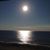 Shelly Klinger's profile image