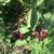 Lee Wilson Dorsch's profile image