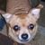 Cynthia Zelis's profile image