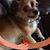 Pam Porter's profile image