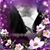 Blanca Isela Aguilar's profile image