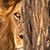 Donna Marie Reynolds's profile image