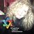 Steffi Paskow's profile image
