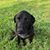 Debbie Shearon's profile image