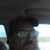Harold Heath's profile image