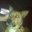 Jody Liebmann's profile image