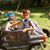 Jorge Gomez Serpas's profile image
