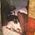 Lynn Marie's profile image