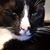 Lori Bode Portner's profile image