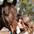 Elizabeth Phifer DeGraffenreid's profile image