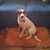 Janice Koch's profile image