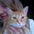 Dawn Coppola's profile image