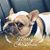 Gail Poffenroth Radke's profile image