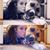 Kayleigh Engles's profile image