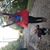 Ashley McDonell McDaniel's profile image