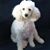Faith Boggio's profile image
