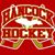 Jodi Dulong Mikesch's profile image