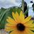 Maria Escobedo's profile image