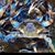 Doobie P. Moldovan's profile image
