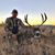 Daniel Brown's profile image
