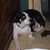 Joseph L. Anselment Jr.'s profile image
