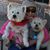 Stephanie Angeli's profile image