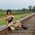 Linda Beck Lowden's profile image