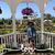 Sharon T. Flores's profile image