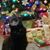 Kate Smith's profile image