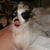 Melissa Barnette's profile image