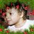 Yolanda Torres's profile image