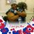 Ava Johnson's profile image