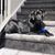 Allison Keddie Kercher's profile image
