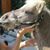 Audrey Hines's profile image