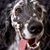 Lois Shaffer's profile image
