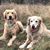 Judy Tapscott's profile image