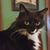 Mary Ann McGreevey's profile image