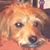 Wendy Betts's profile image