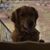Jodi Meehan's profile image