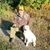 Dennis Wheelock's profile image