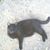 Cathy Miller Fate's profile image