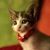 Jane Quinn's profile image