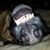 Sue Cristan's profile image
