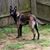 Judy Sahr-Wilson's profile image