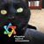 Gail Griffin's profile image