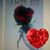 Jessi Jean Hall's profile image