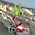 Dalibor Antic's profile image