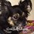 Audra Martin Kilgore's profile image